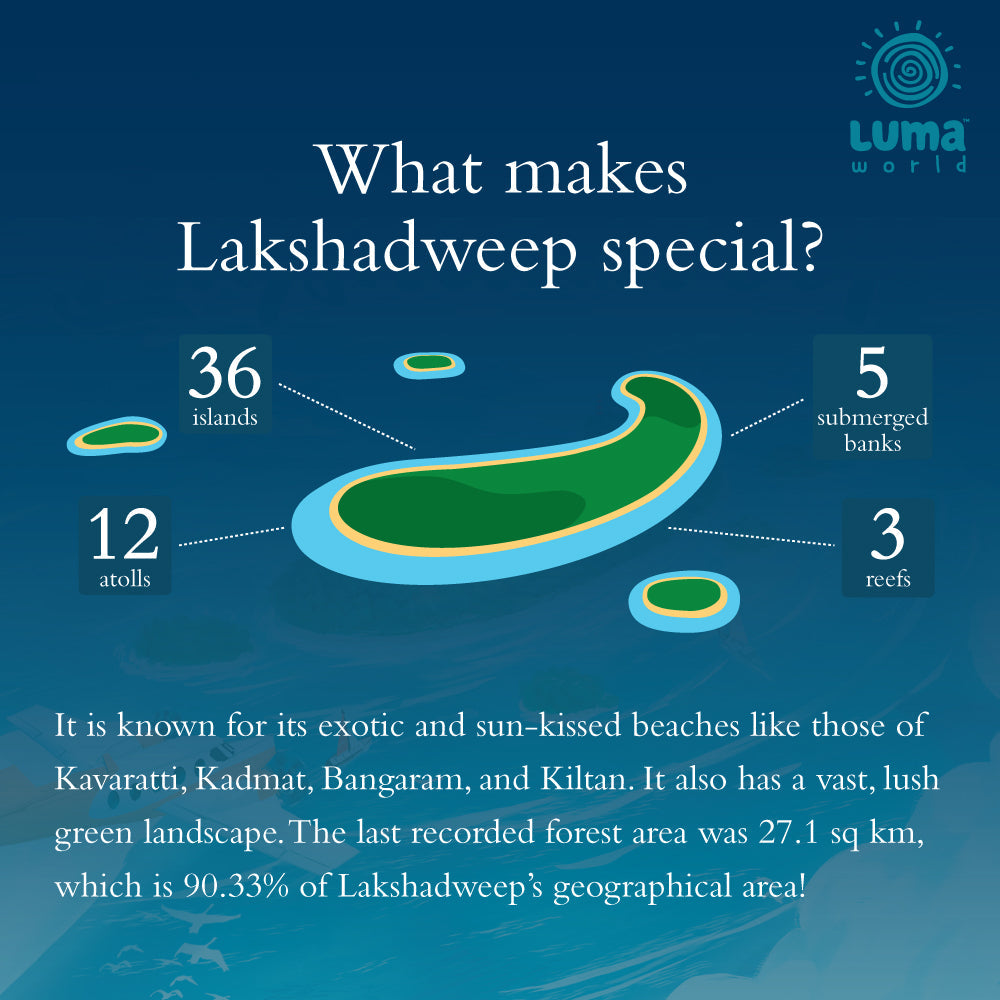 Lakshadweep: A Tile Placement Strategy Game - Age 10+