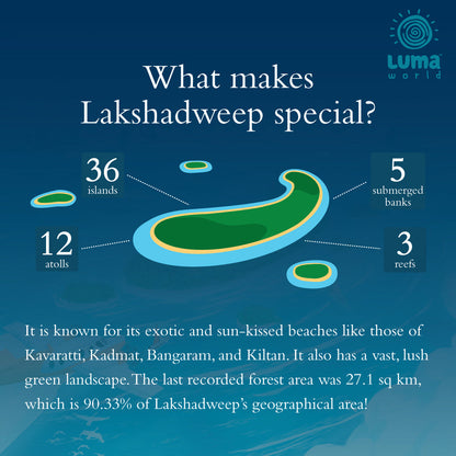 Lakshadweep: A Tile Placement Strategy Game - Age 10+