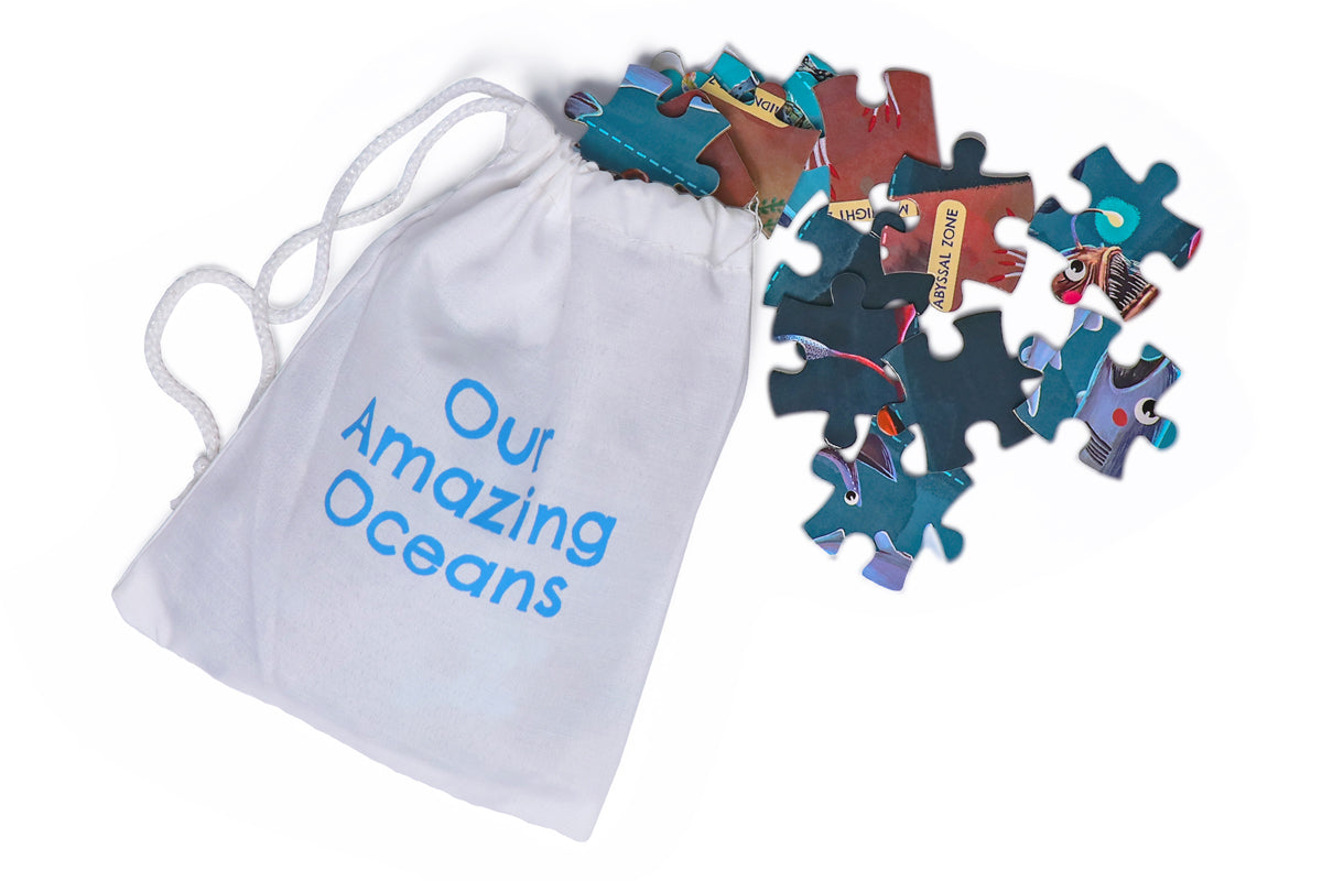  Our Amazing Oceans kit, filled with fascinating info on ocean animals.